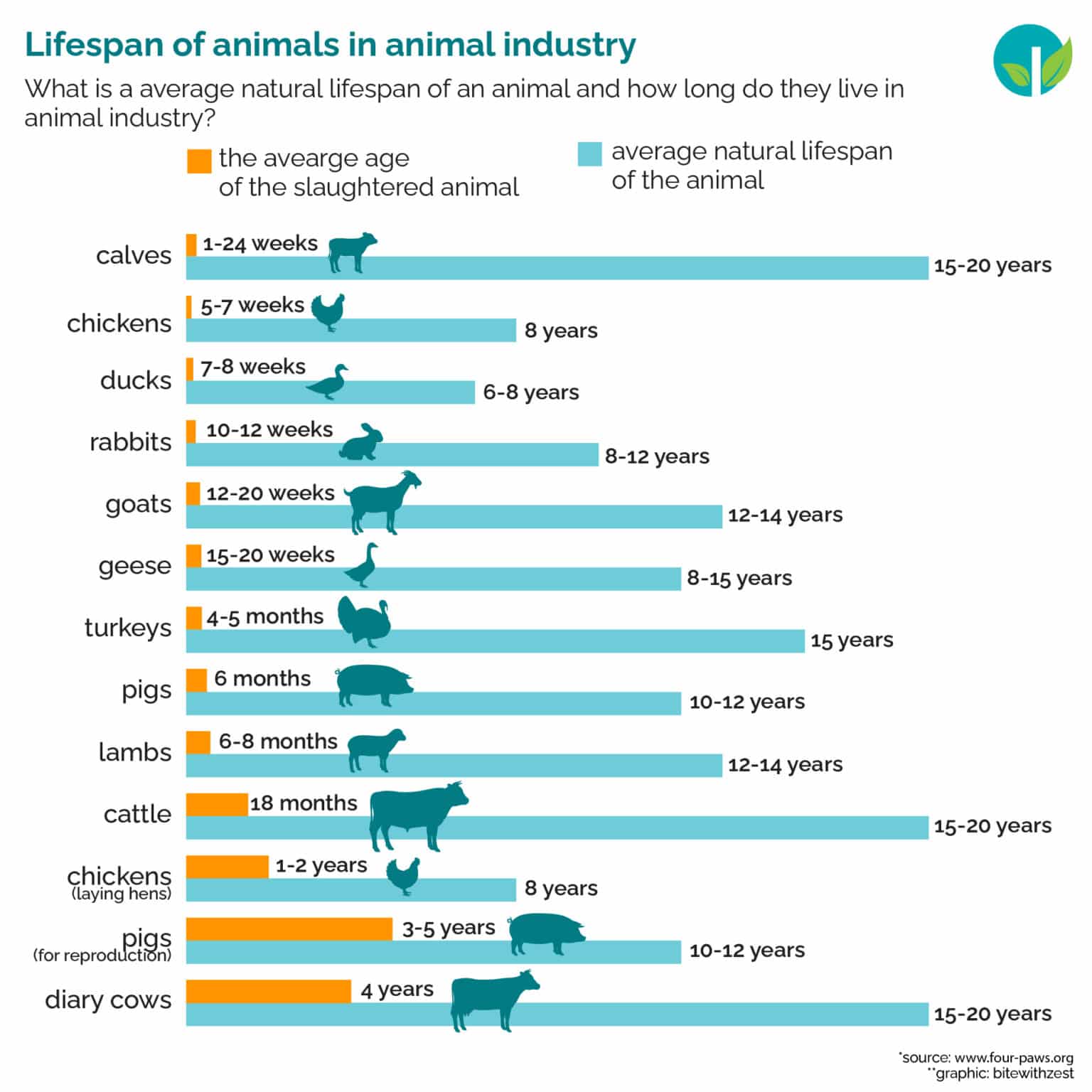 Lifespan of animals in animal industry – Bite with Zest